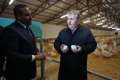 WhatsApp-Image-2026-04-13-at-15.33.43