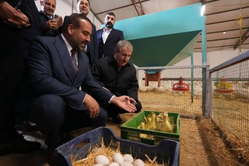 Altınkaz Kaz Çiftliği Ziyaret (13.04.2026)